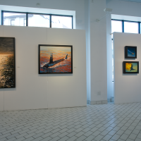 Vue de l’exposition Le fleuve empaillé, Galerie Lacerte, Québec, 2009